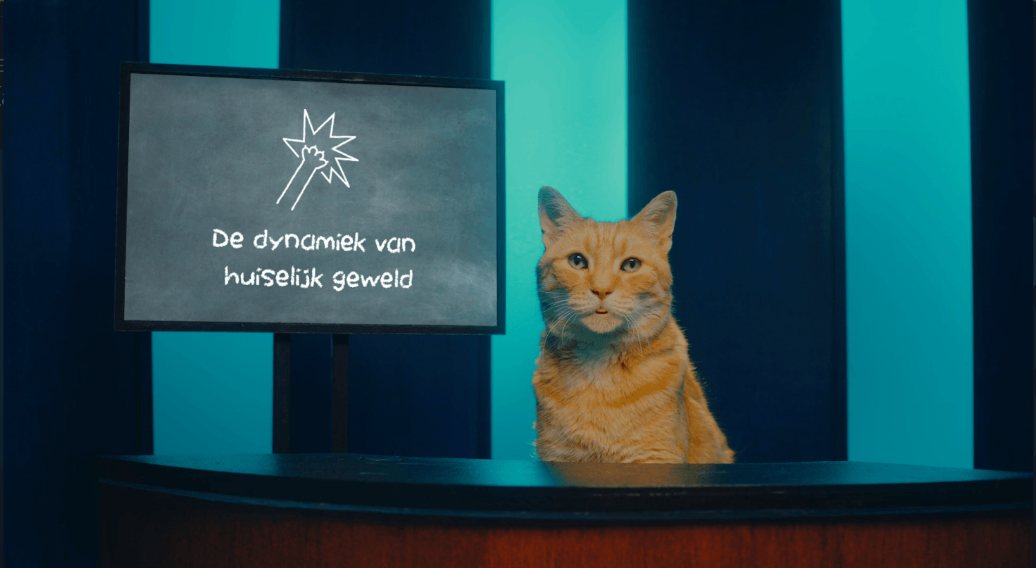 Een oranje kat zit achter een nieuwsdesk en kijkt naar de camera. Op het scherm erachter zijn tekst en een afbeelding te zien. De achtergrond is blauw en groen.