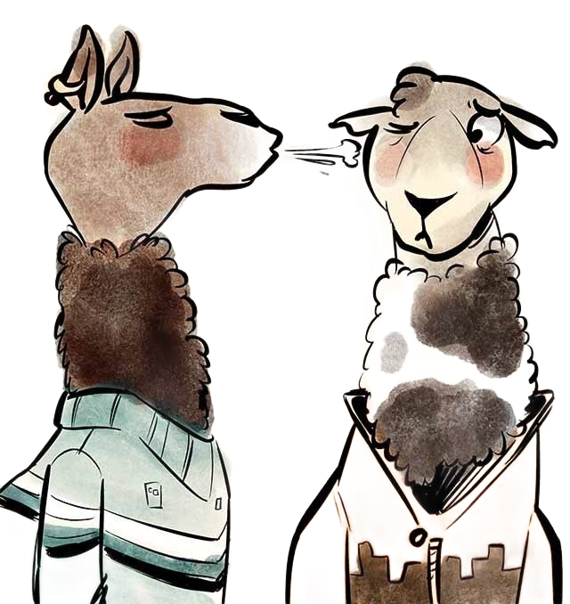 Twee lama's: de ene blaast, de andere deinst terug met roze wangen, beiden in truien.