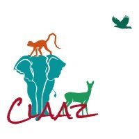 Een turquoise olifant, een oranje aap en een groen hert naast het woord 