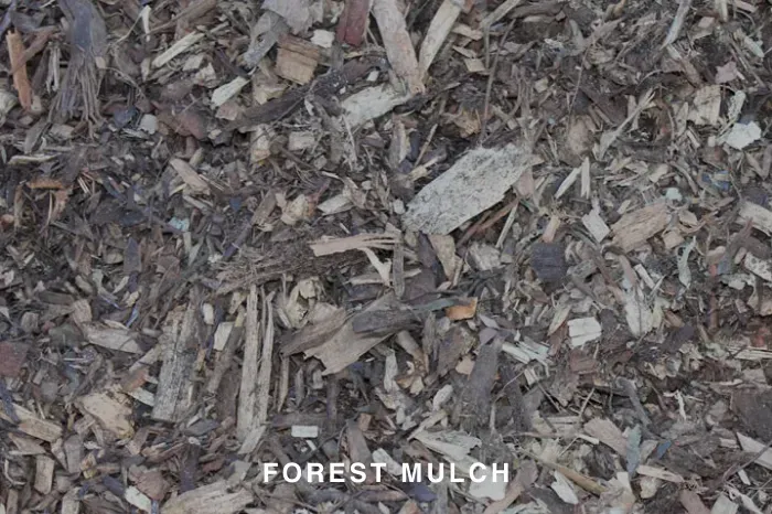 FOREST MULCH