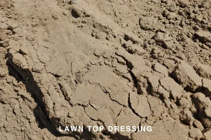 LAWN TOP DRESSING
