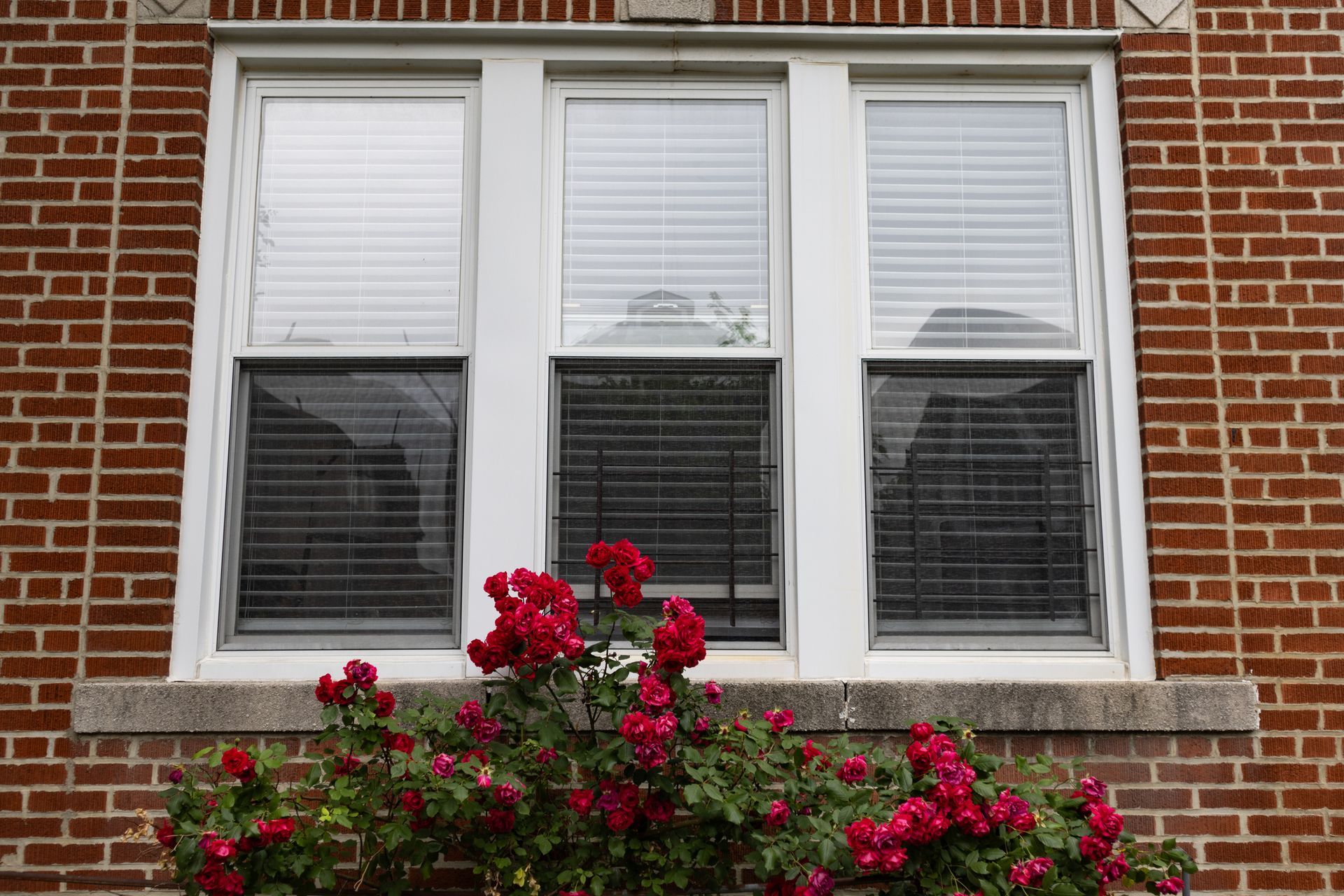 A brick building with a window with blinds and flowers in front of it. A brick building with a window with blinds and flowers in front of it.