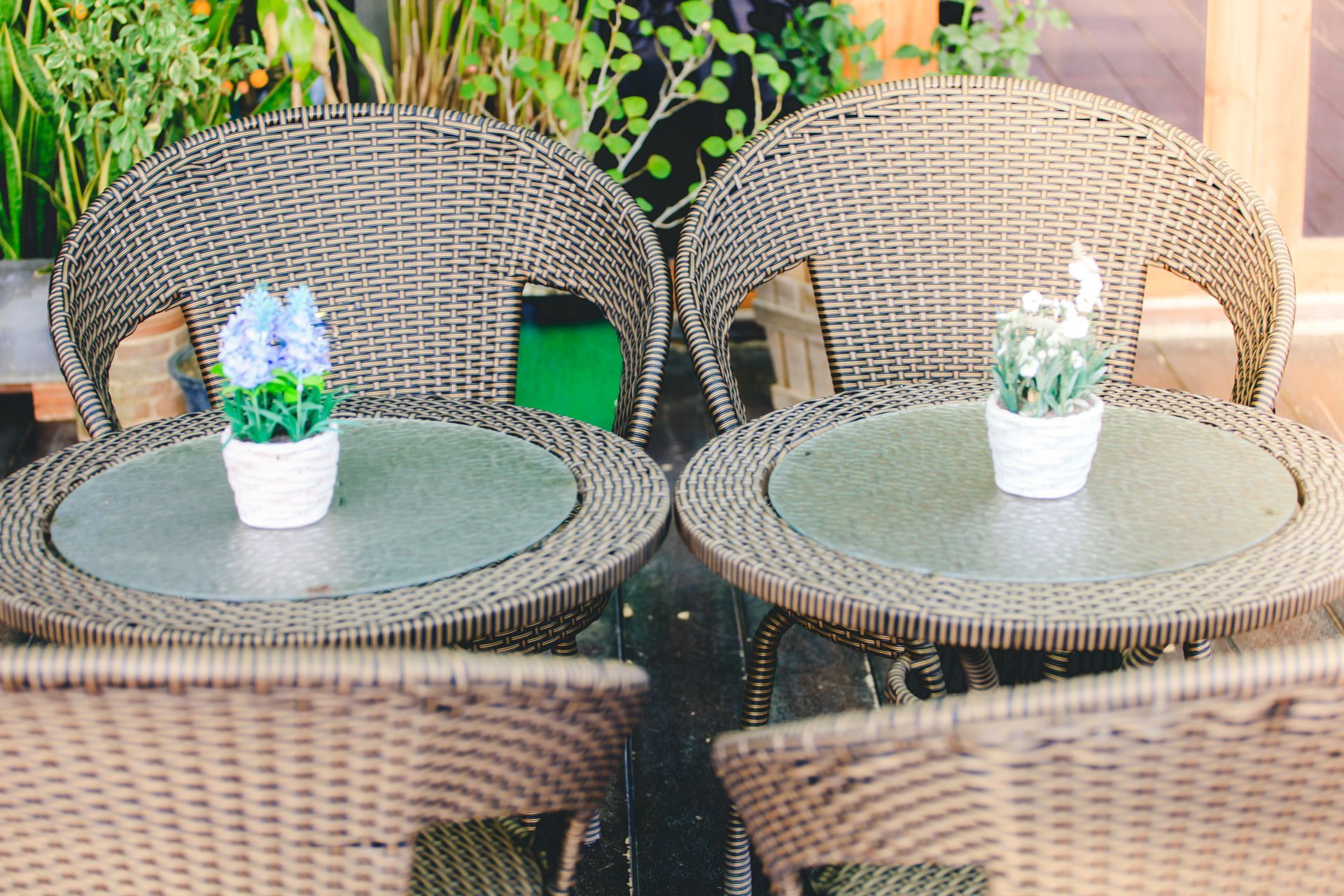 Tavolini da caffè all'aperto e sedie in vimini con piccole piante in vaso, in un contesto di giardino.