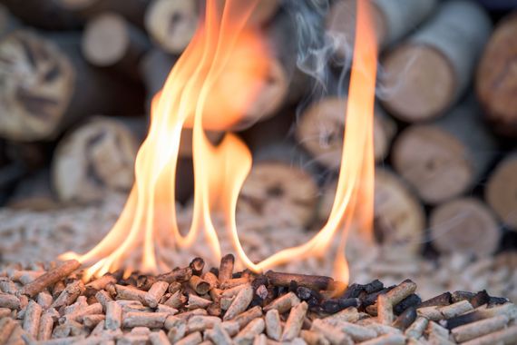 Fiamme che si alzano da un letto di braci, con tronchi accatastati sfocati sullo sfondo.