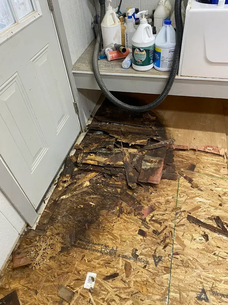 Damaged wooden floor near a white door and shelf with cleaning supplies; dark, rotting section.