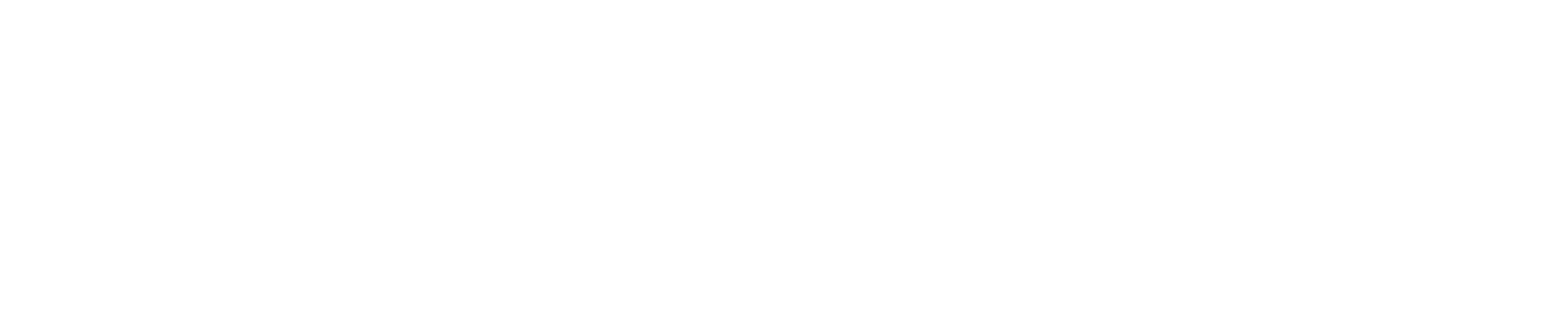 Thin black horizontal line on a white background
