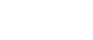 Blank white rectangle with a thin black horizontal line near the top