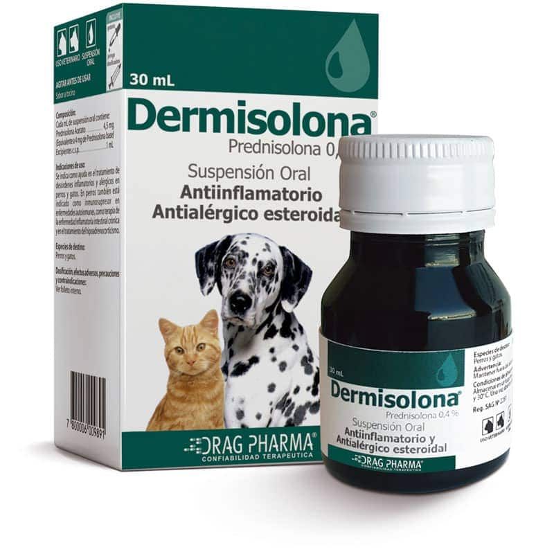 Caja y frasco de suspensión oral antiinflamatoria Dermisona para mascotas con etiqueta de gato y dálmata.