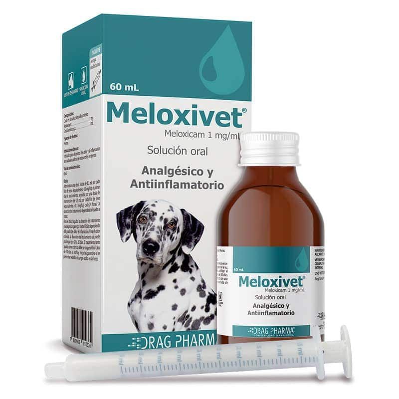 Caja, botella y jeringa de Meloxivet, analgésico veterinario para perros, sobre fondo blanco.