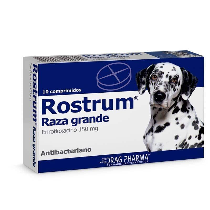 Caja de medicamento antibiótico Rostrum para perros grandes, envase azul y blanco con la imagen de un dálmata.