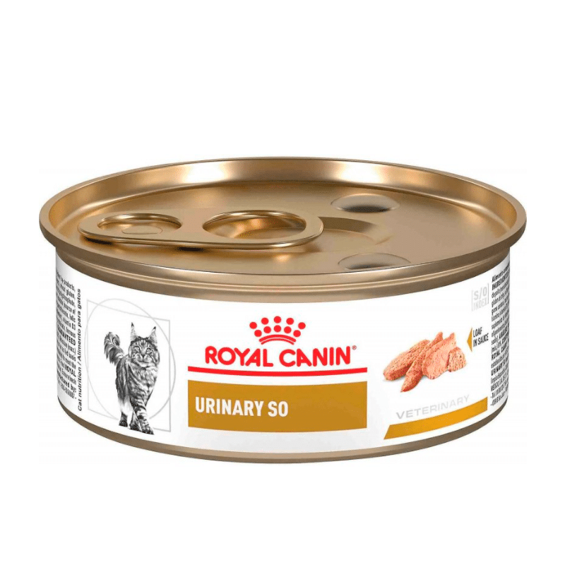 Lata de comida húmeda para gatos Royal Canin Urinary SO, color plata con tapa dorada.