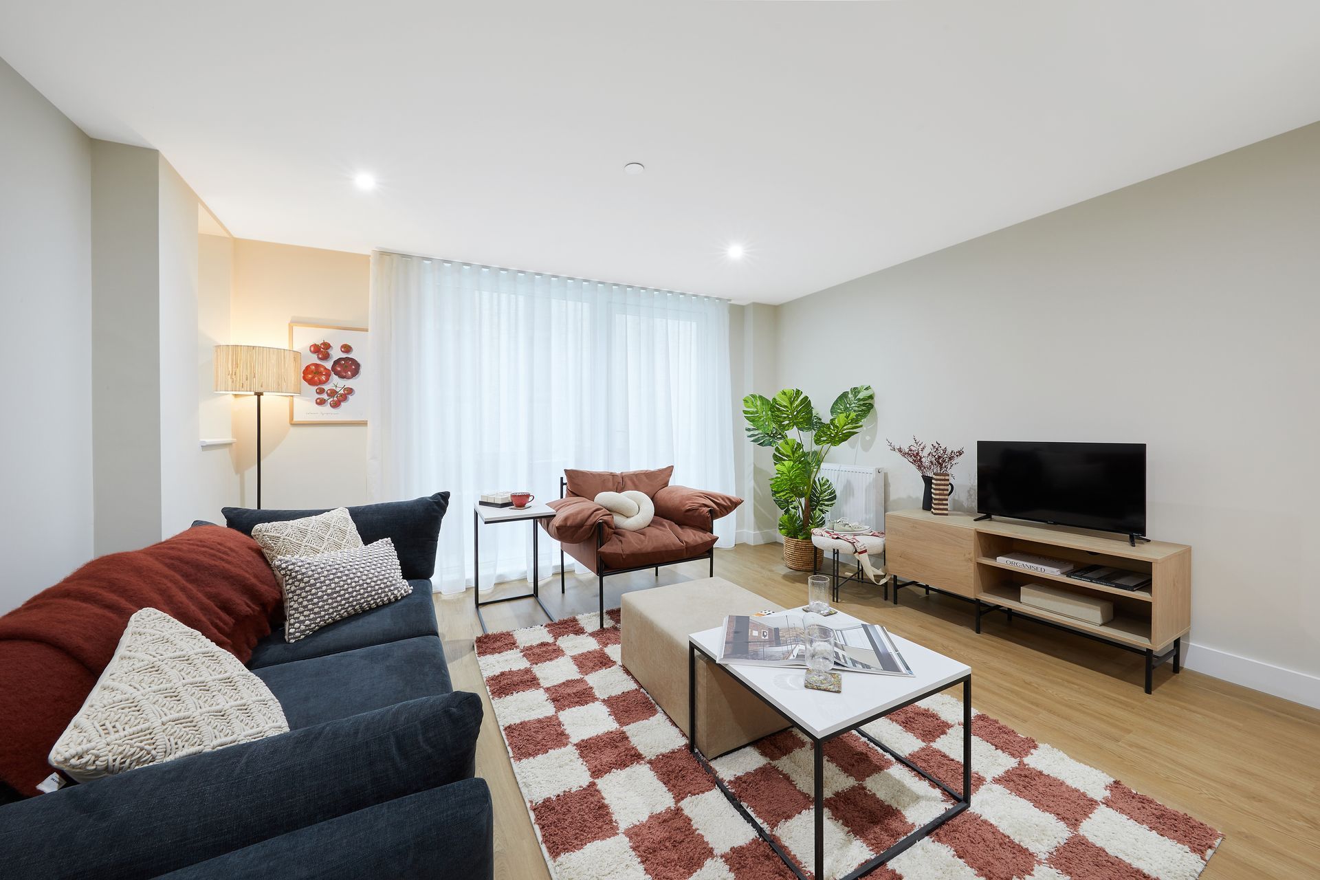 Bright living room with sofa, armchair, coffee table, TV, plants, and red checkered rug