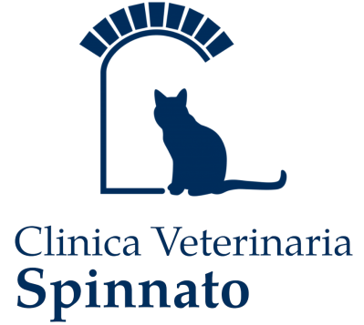 ipotiroidismo gatto