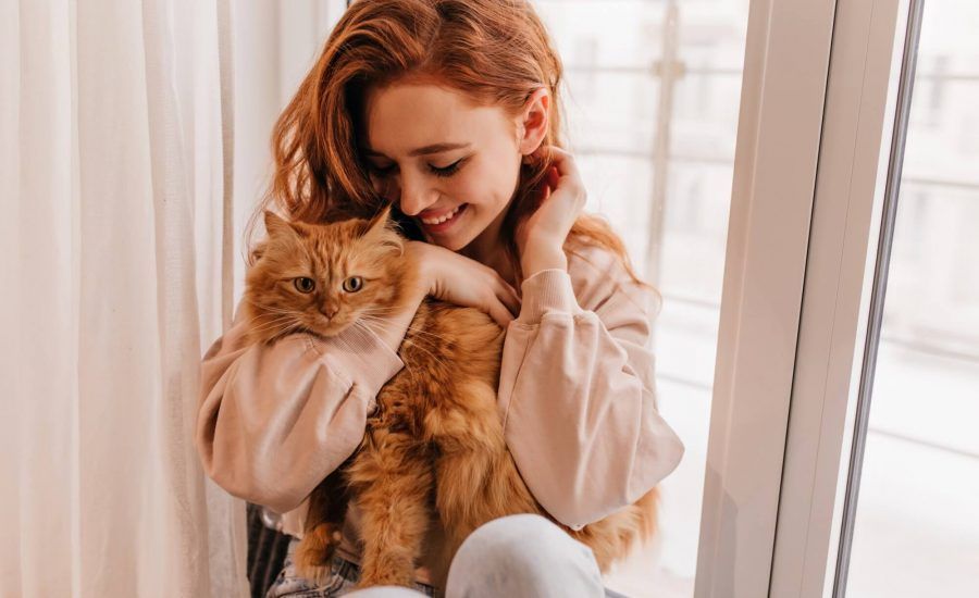 gatti