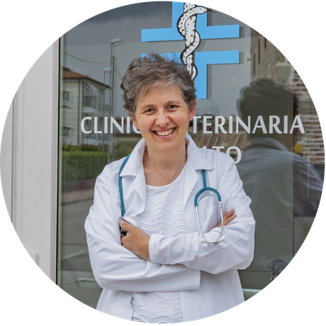 clinica veterinaria spinnato