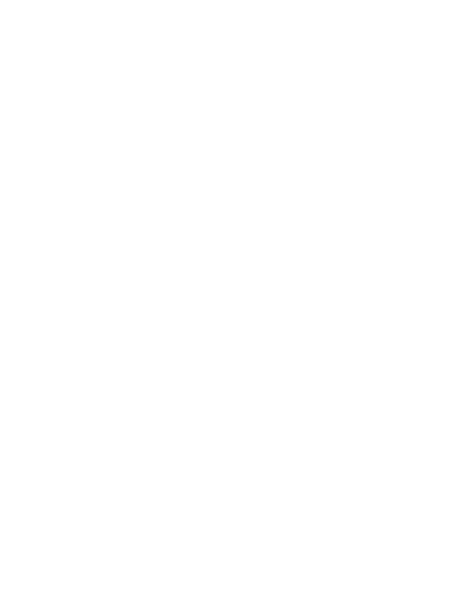 Icon Griller