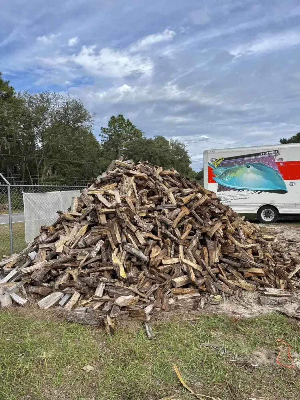 Large pile of chopped firewood in a grassy field beside a truck and fenced area under a cloudy sky