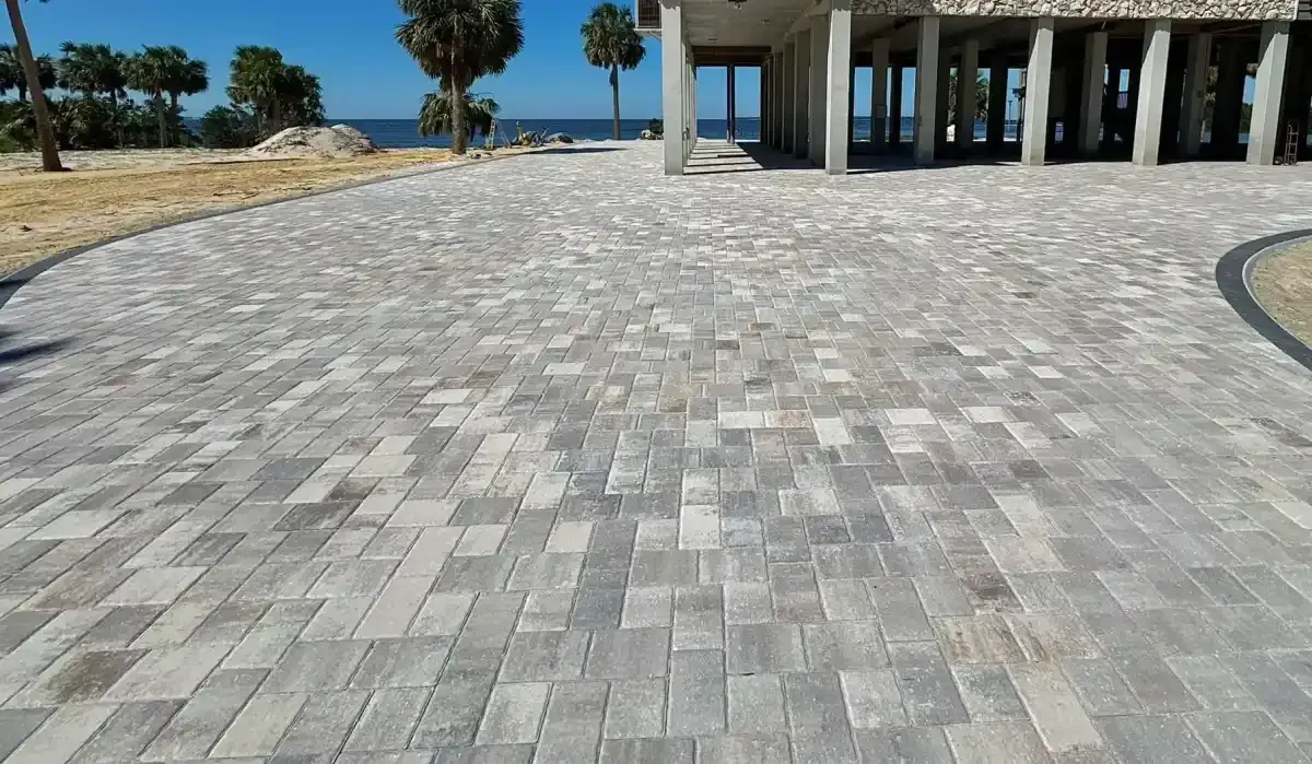 Paved seaside plaza with palm trees and a pavilion near the ocean under a clear blue sky