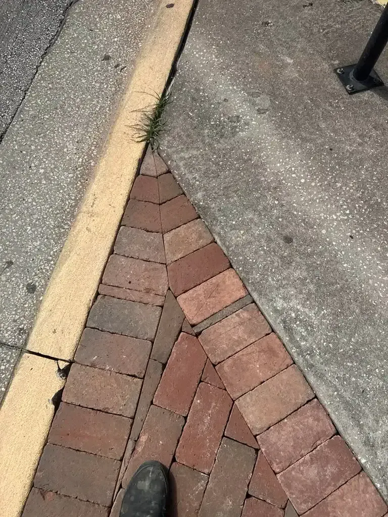 Brick-lined curb ramp between asphalt and concrete sidewalks, with a shoe visible at the bottom edge.