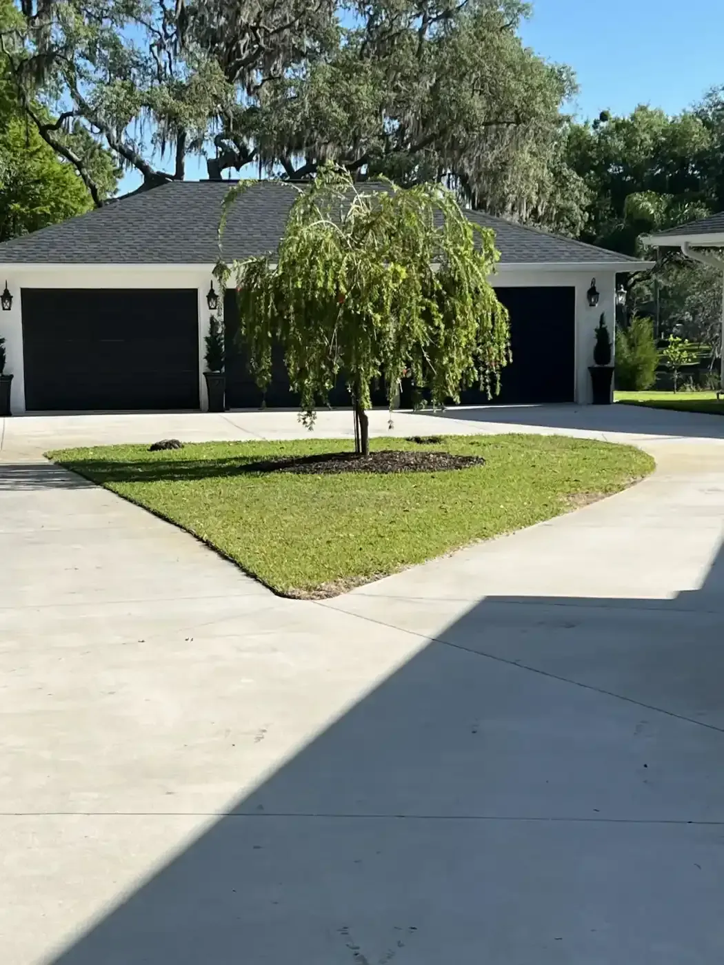 Suburban house with black garage doors, white driveway, and a small front lawn with a tree