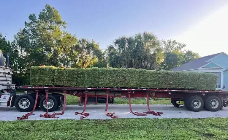 Long flatbed trailer carrying a neatly trimmed hedge in a suburban yard, with red dollies underneath.