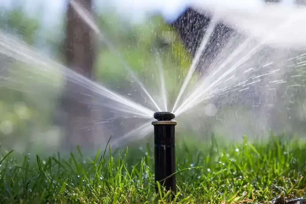 Sprinkler spraying water over green grass in a garden