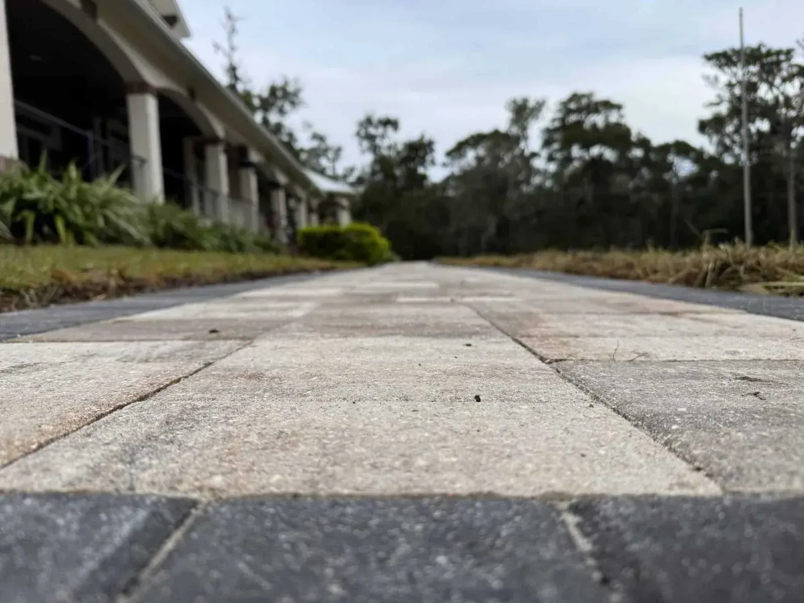 Low-angle view of a paved walkway beside a building, with trees and shrubs in the background