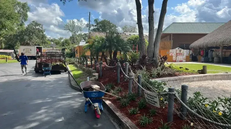 Bright resort path with golf carts, potted plants, and a thatched-roof building under a blue sky