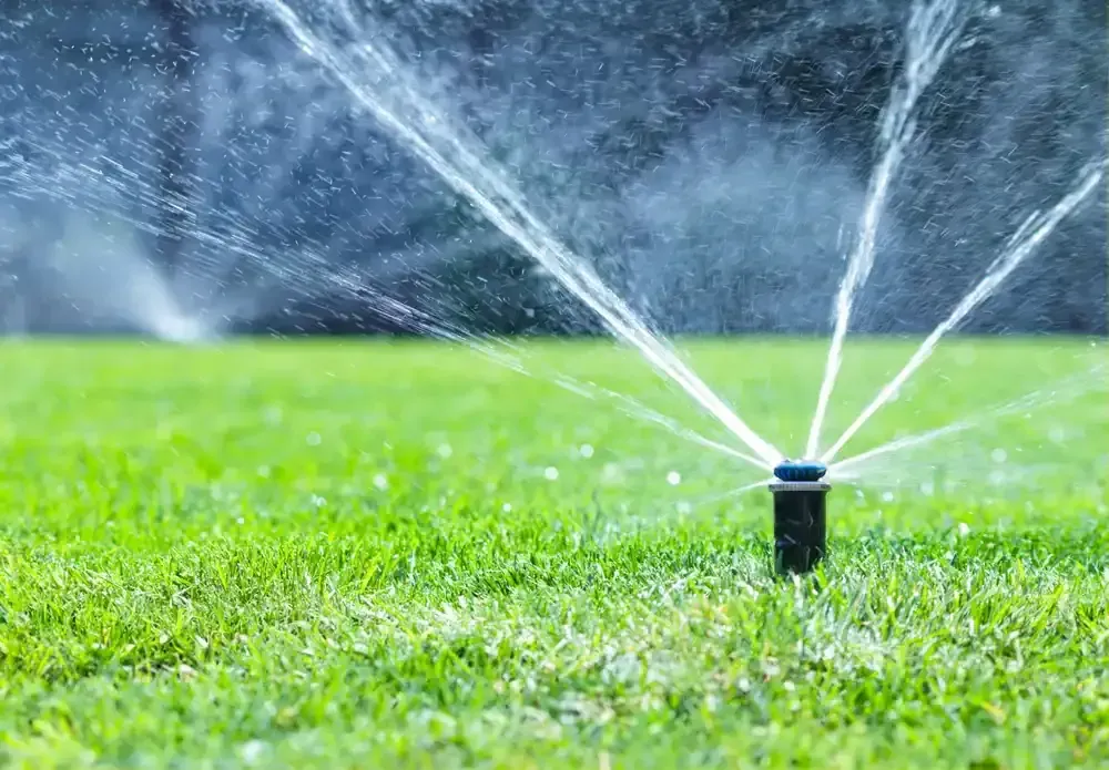 Lawn sprinkler spraying water over bright green grass on a sunny day