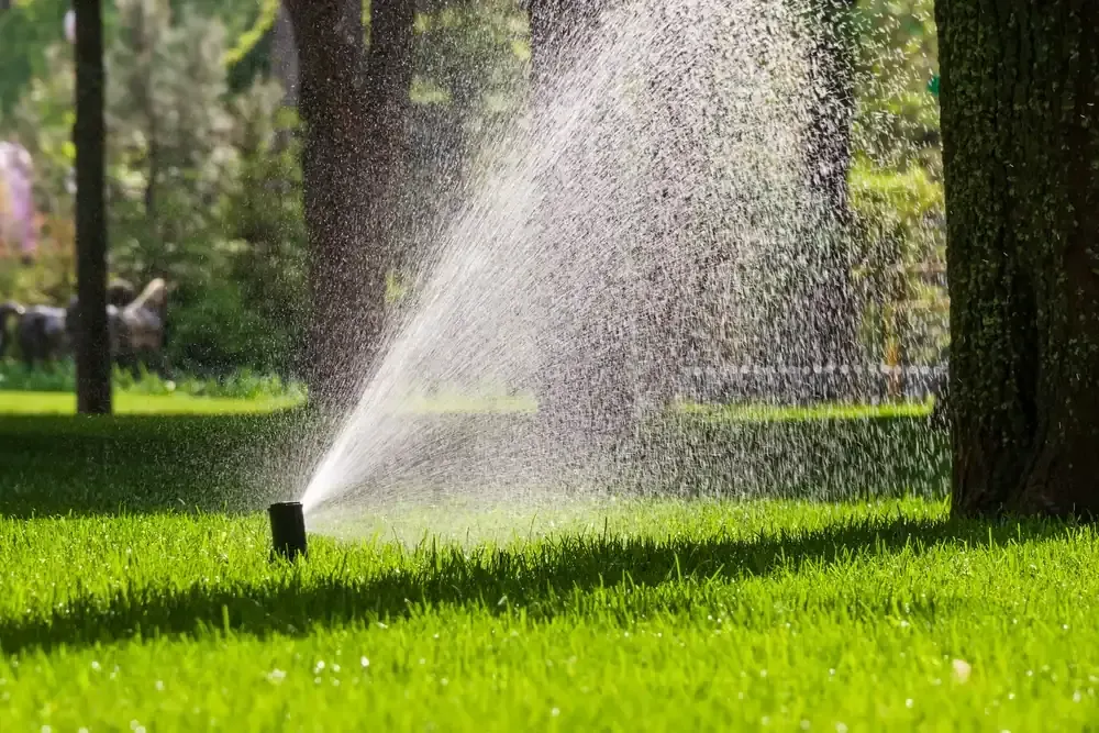 Lawn sprinkler spraying water across a green park lawn near trees