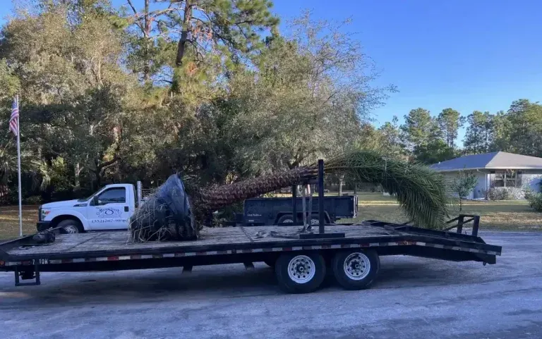 White pickup truck with a flatbed trailer carrying large rocks on a roadside under trees