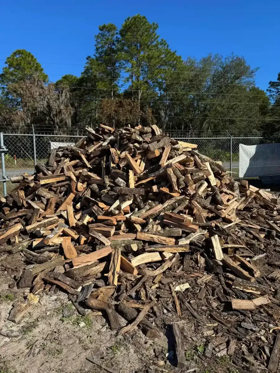 Large pile of cut firewood in a yard with a chain-link fence and trees in the background