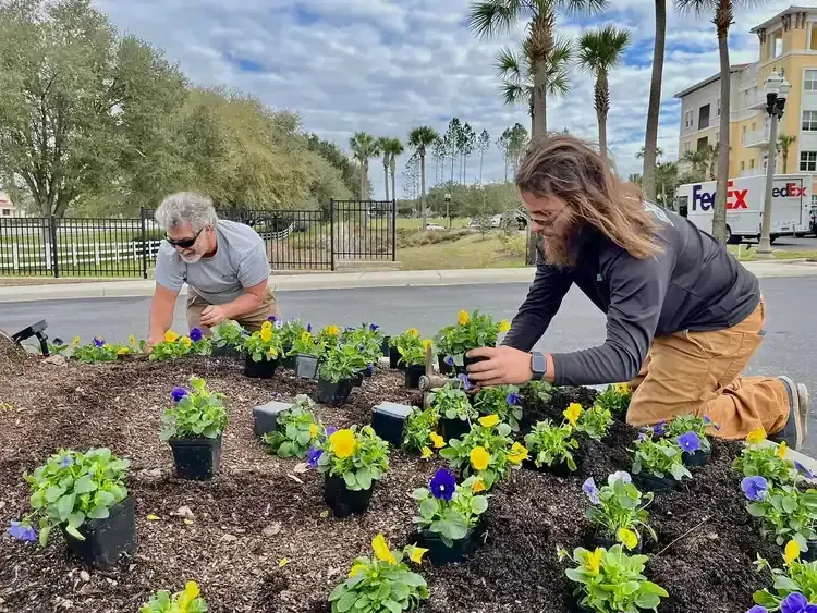 Two people planting yellow and purple flowers in a landscaped bed beside a street and palm trees.