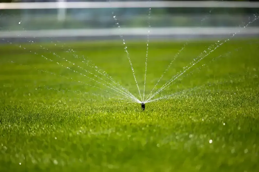 Sprinkler spraying water across a lush green lawn in soft daylight