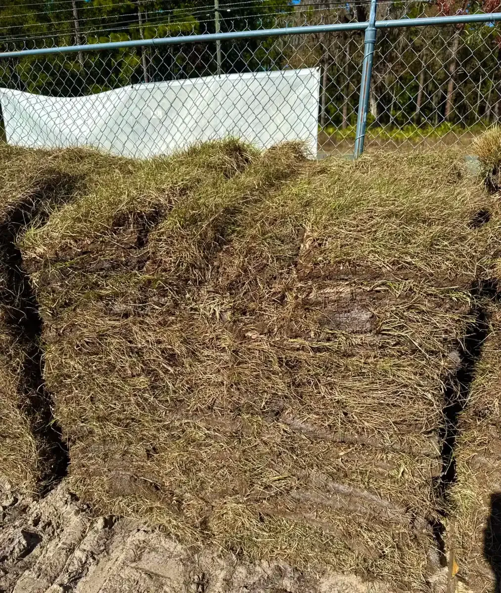 Stacked hay bales in a field beside a chain-link fence and white tarp.