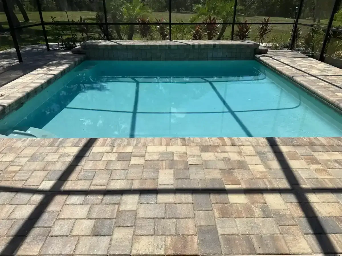 Backyard swimming pool with blue water and tan paver patio, fenced by greenery.
