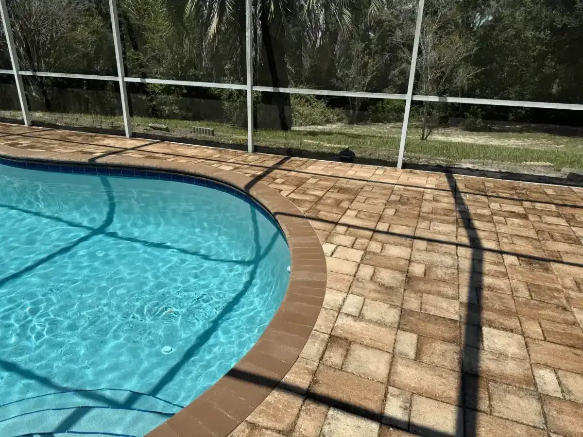 Curved blue swimming pool with tan paver deck and screened enclosure in sunlight