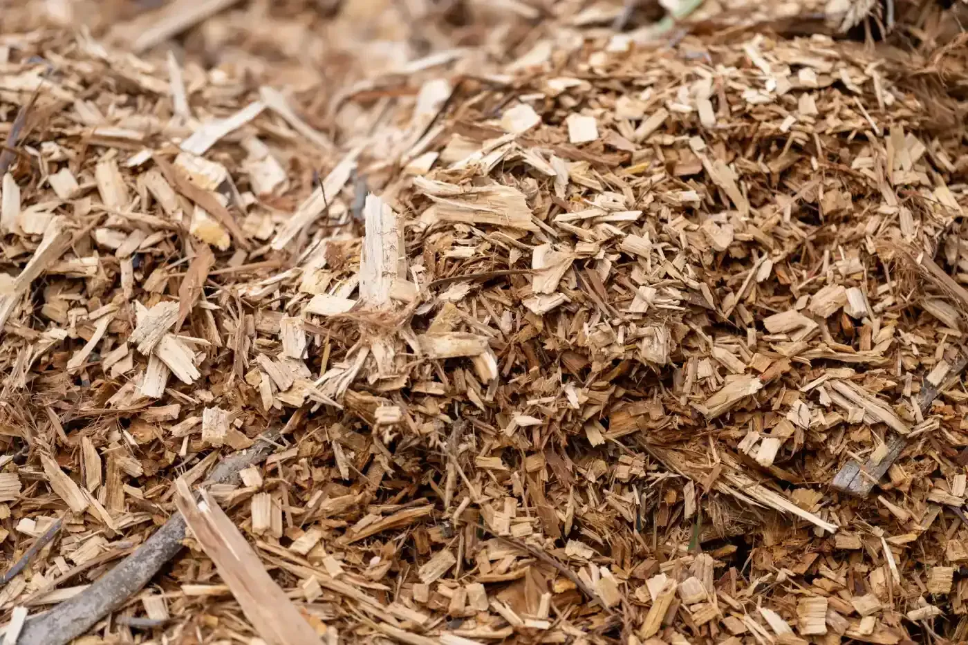 Pile of light brown wood chips and mulch covering the ground