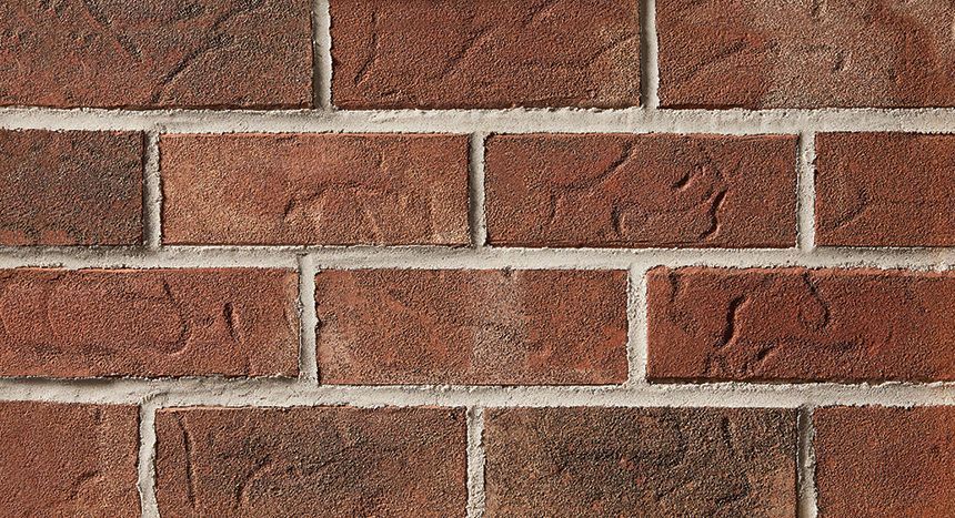 Close-up of a brick wall with red and brown bricks and gray mortar.