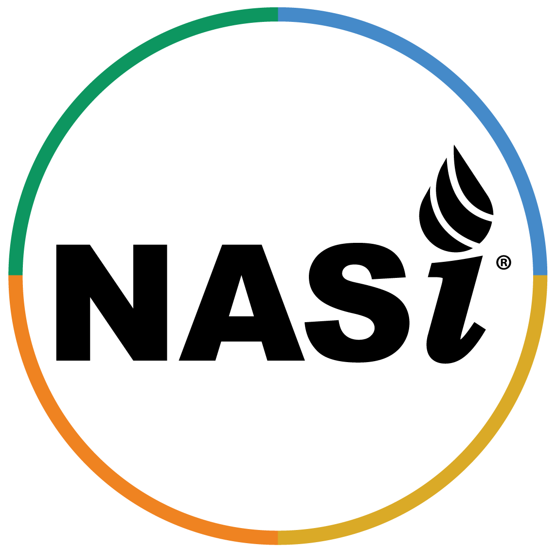 Our logo represents all NASi divisions providing solutions in the transportation, mining, industrial, and energy sectors.