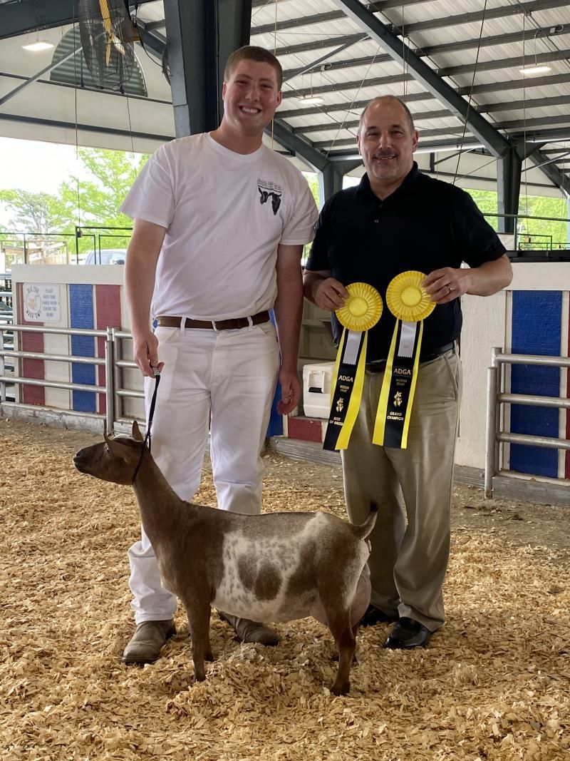 Two men stand with a brown-and-white goat holding yellow award ribbons in a livestock barn.