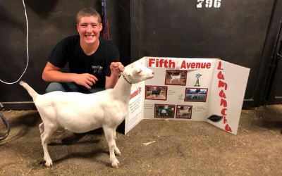 Woman kneeling beside a white goat at a livestock show, holding a prize sign and smiling at the camera