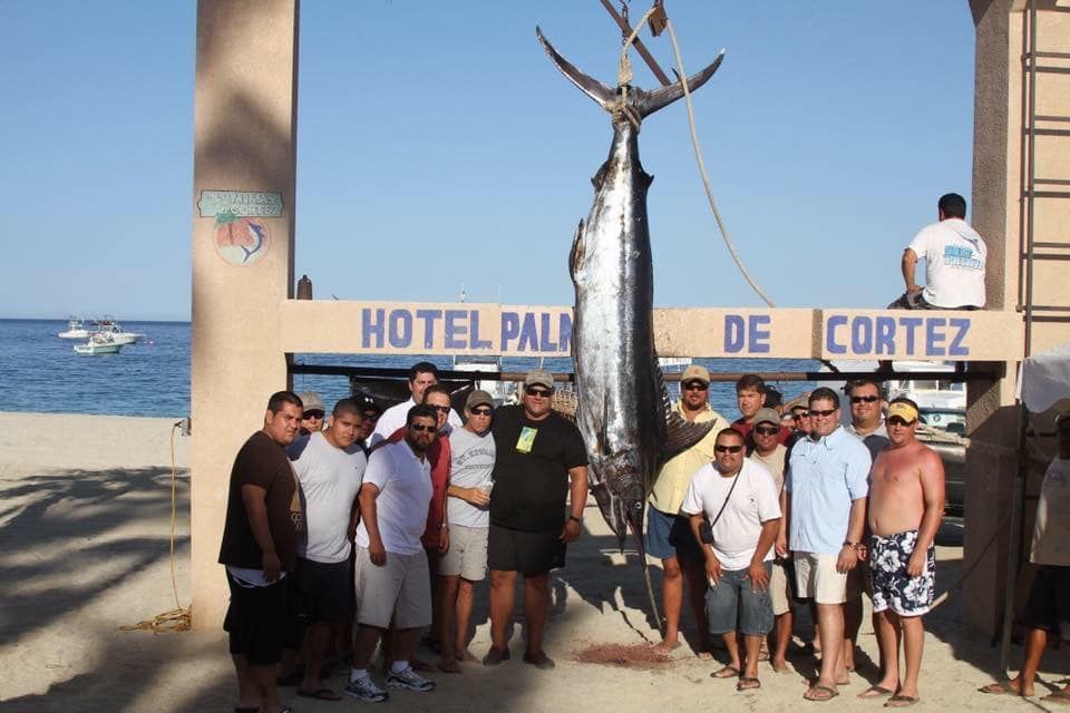 a 878 pound marlin