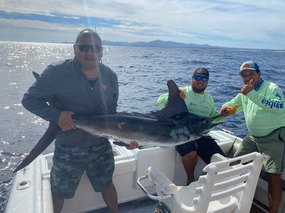 a marlin catch in Baja California