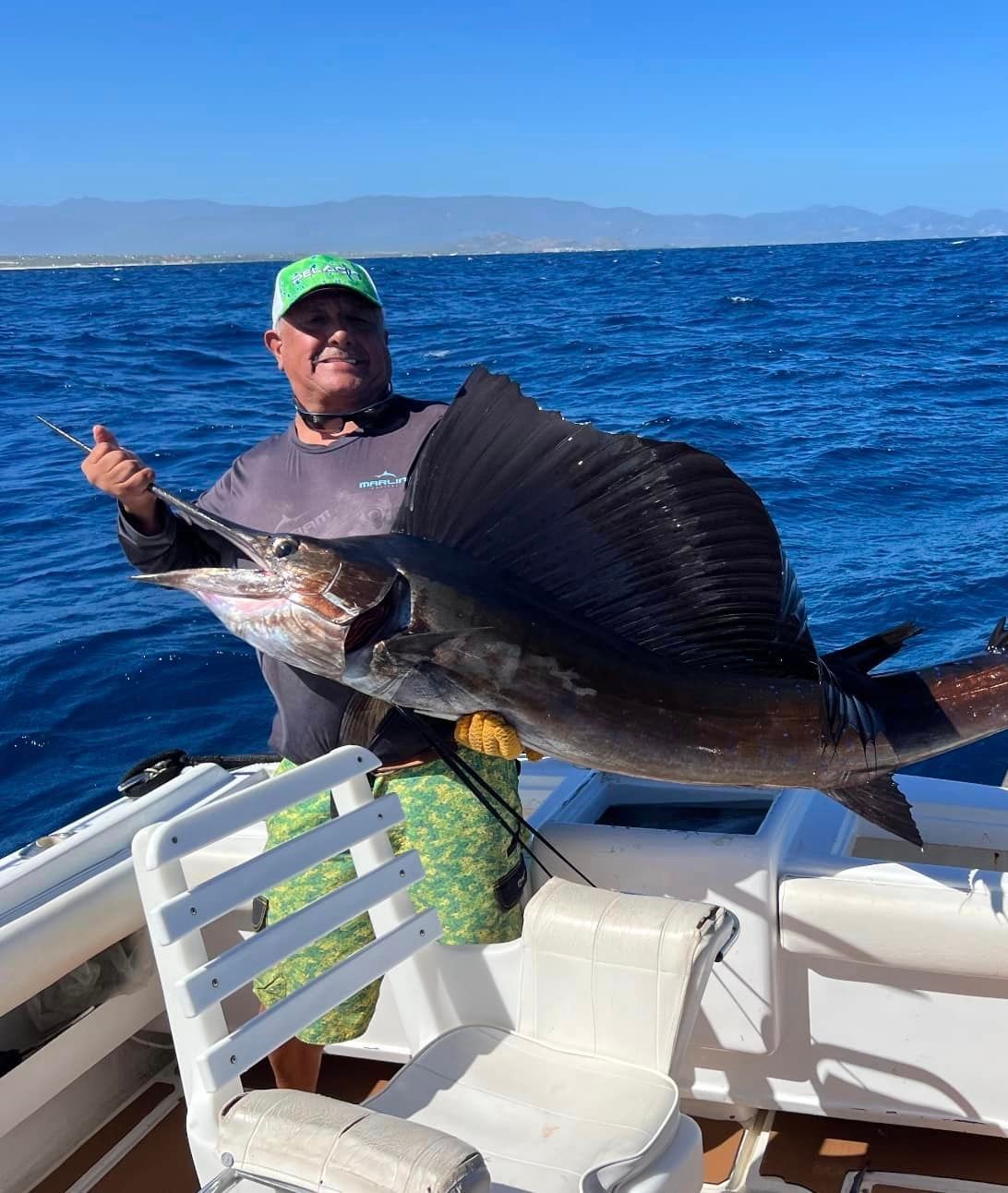 sailfish catch