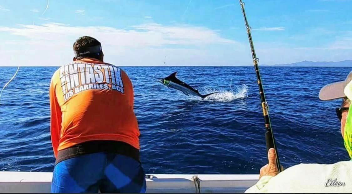 marlin view from the boat