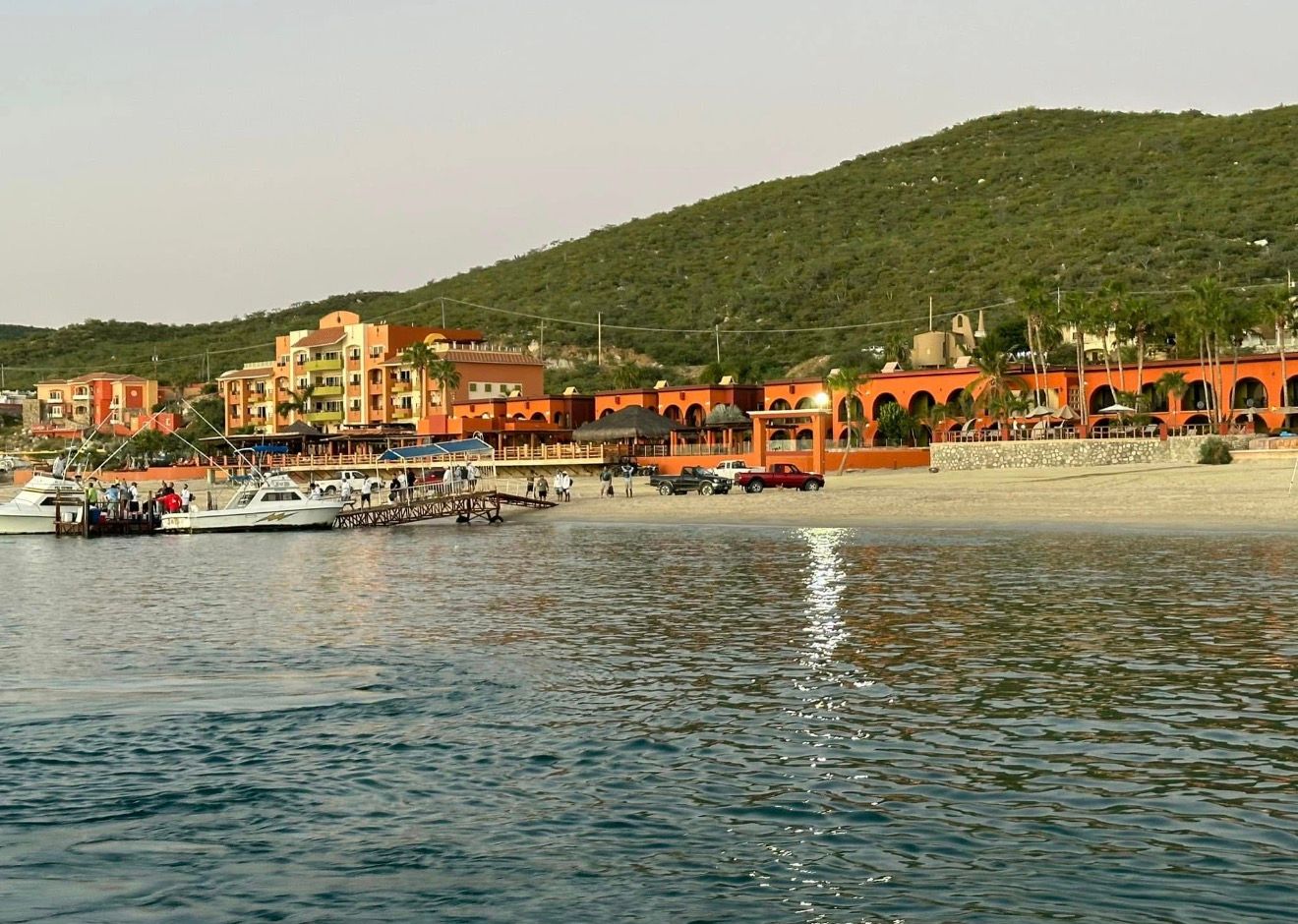 Harbor with boats, waterfront buildings, and green hillside at sunset