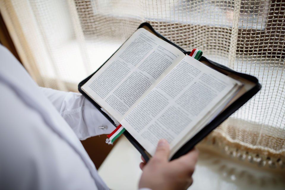 Person hält ungarisches Buch zum Übersetzen