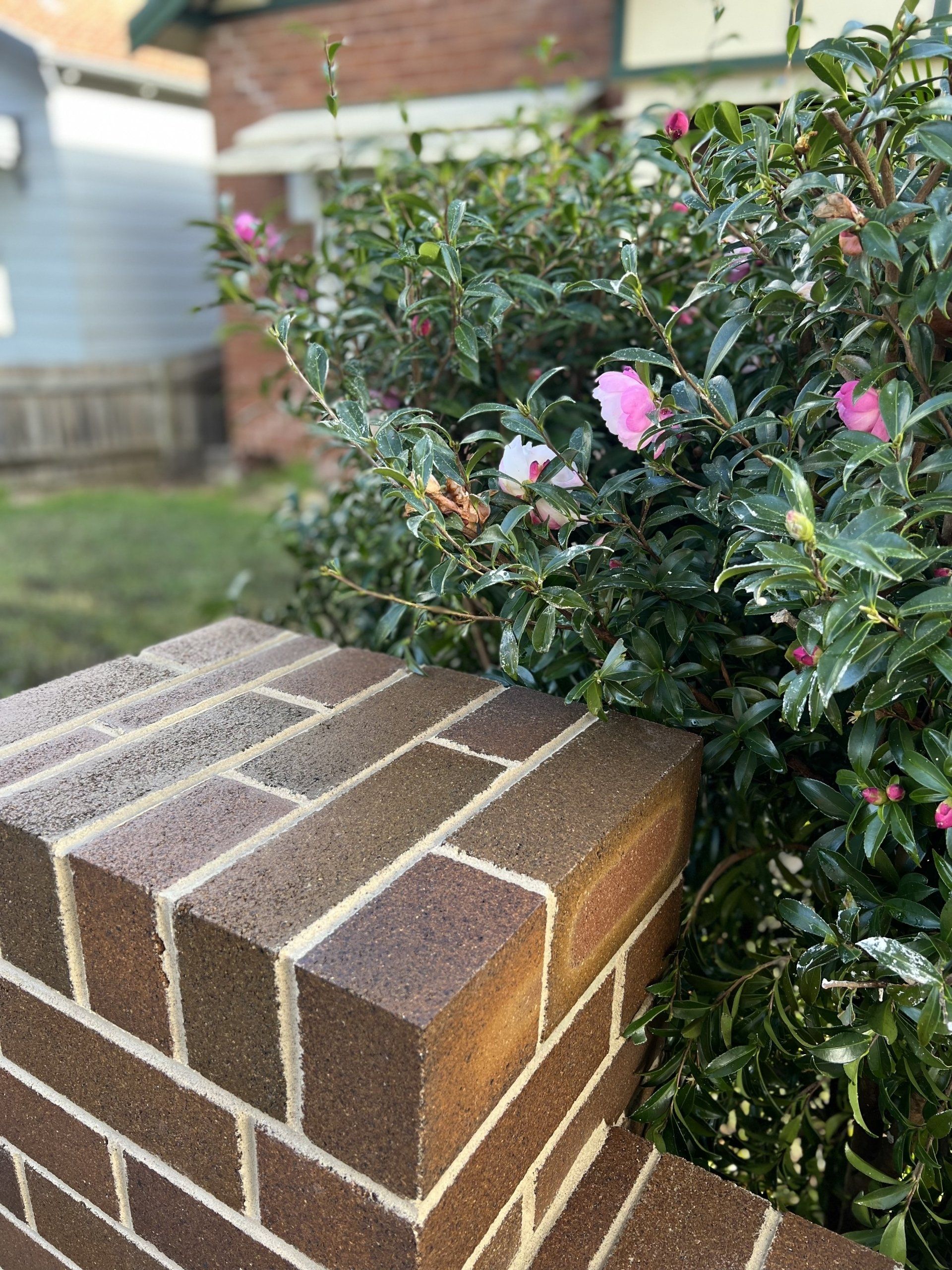 A close up of a brick wall with flowers in the background.