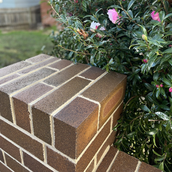Brick Fence -Enfield, NSW - COB Bricklaying Brick Fence -Enfield, NSW - COB Bricklaying